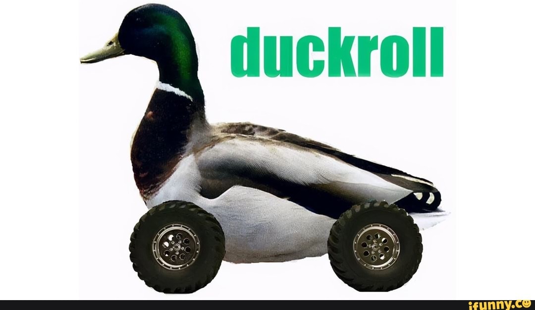 Mapoosi Duckroll memes. Best Collection of funny Duckroll pictures on iFunny