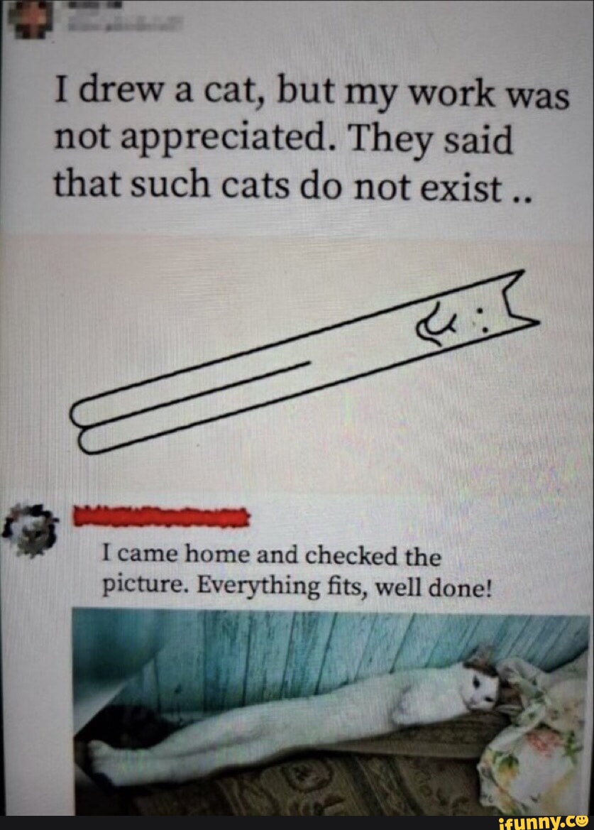 I drew a cat, but my work was not appreciated. They said that such cats do not exist I came home and checked the picture. Everything fits, well done! if