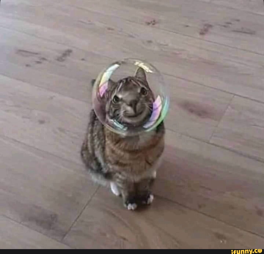 XDD
