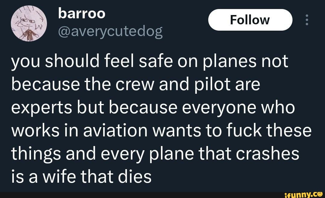 Tweet by barro, @averycutedog: you should feel safe on planes, not because the crew and pilots are experts but because everyone who works on aviation wants to fuck these things and every plane that crashes is a wife that dies